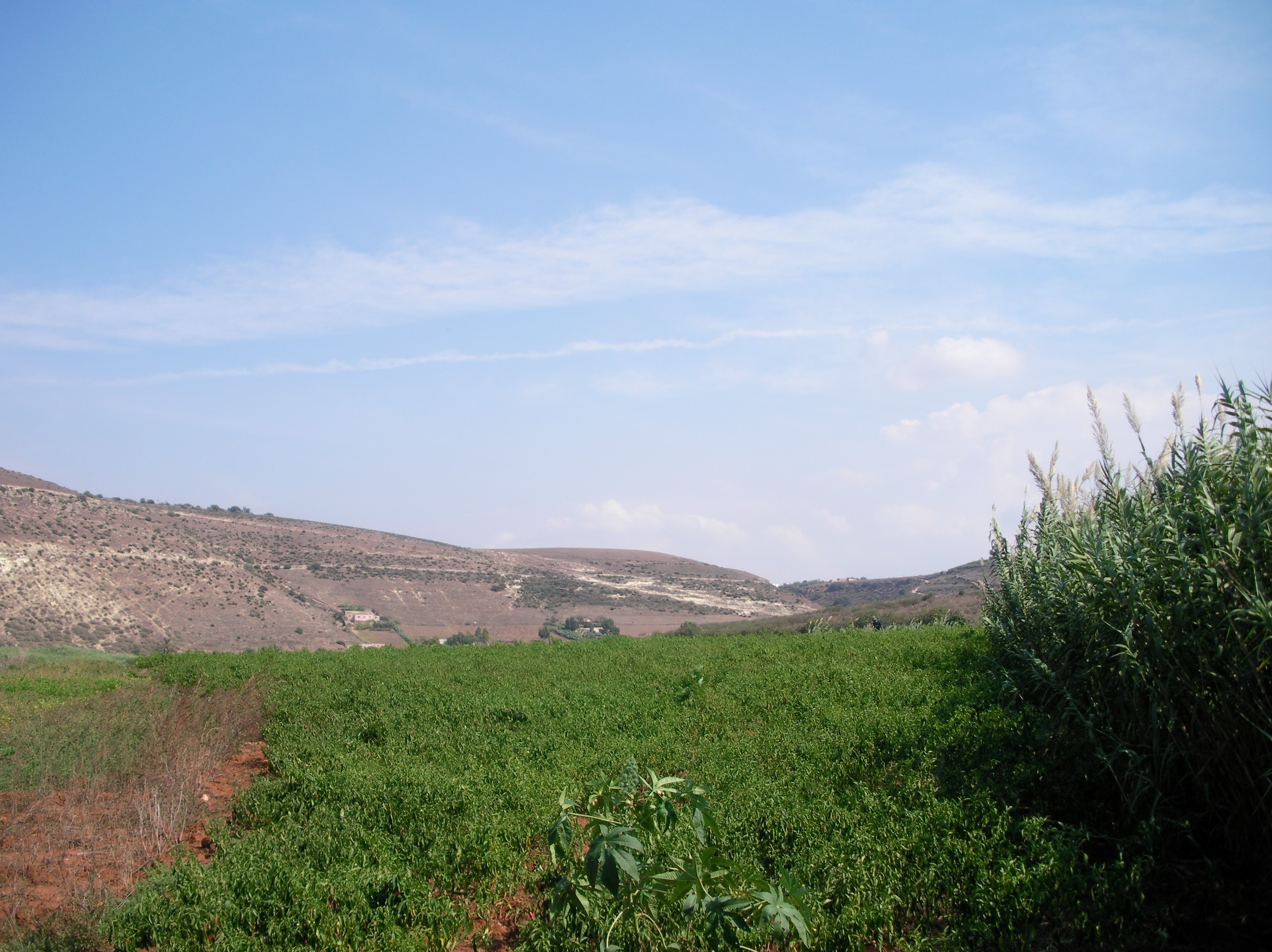 Oued el Maleh