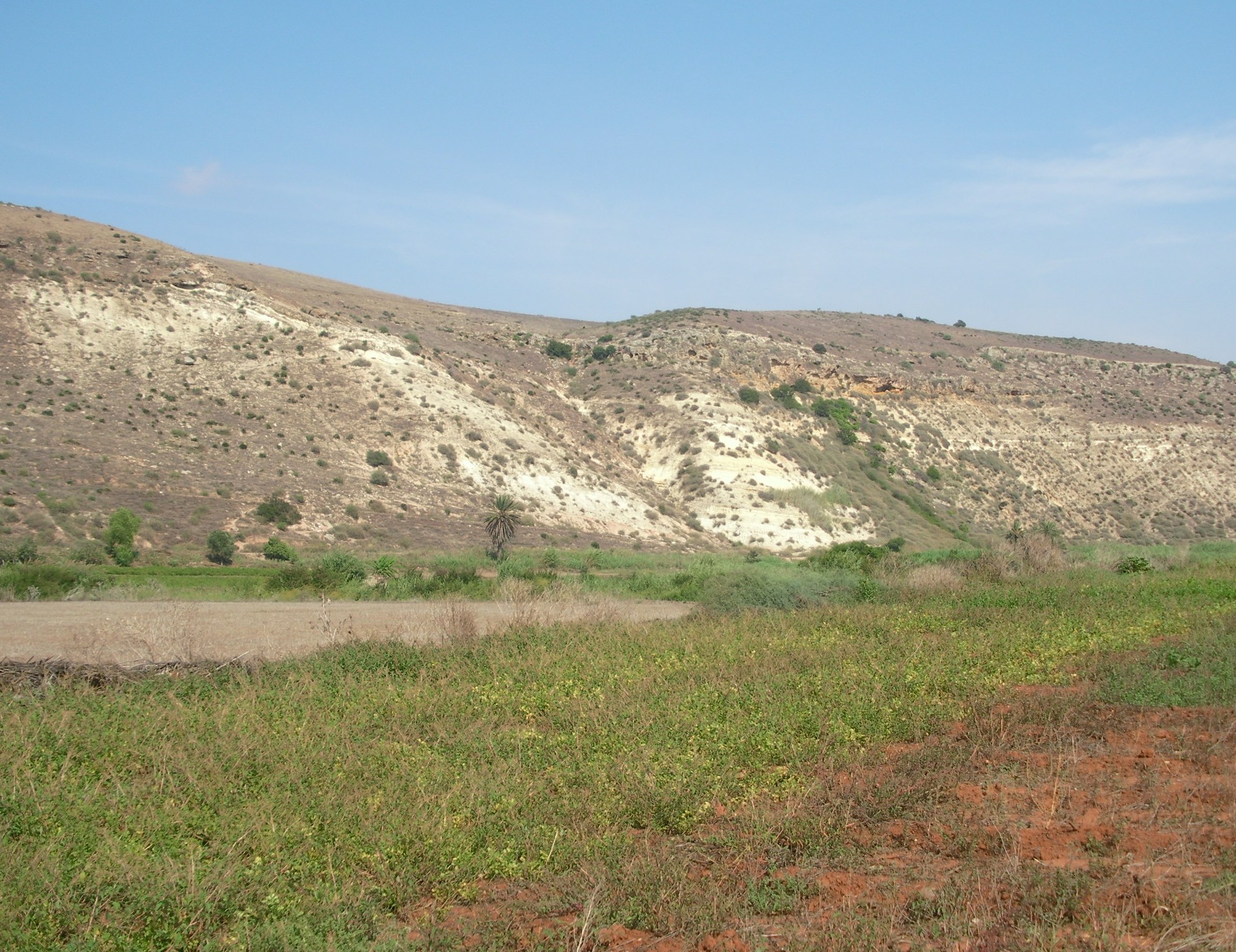 Soils in Oued El Maleh
