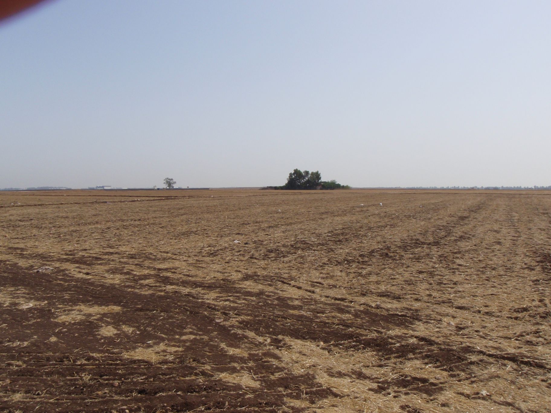 Soil type: Kastanozem in Northern Morocco - highly suitable for
      agriculture