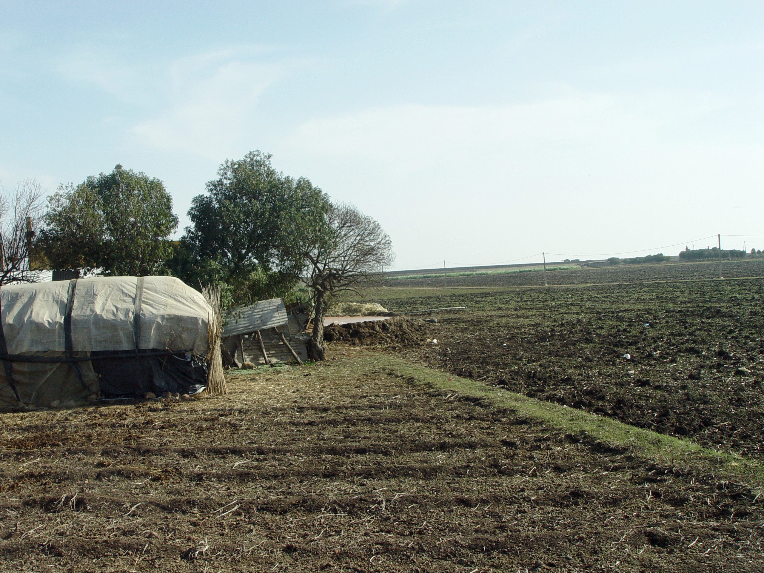 Farming area near Casablanca