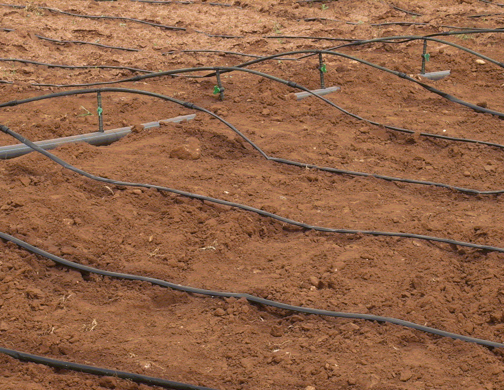 Sustainable measure - efficient irrigation